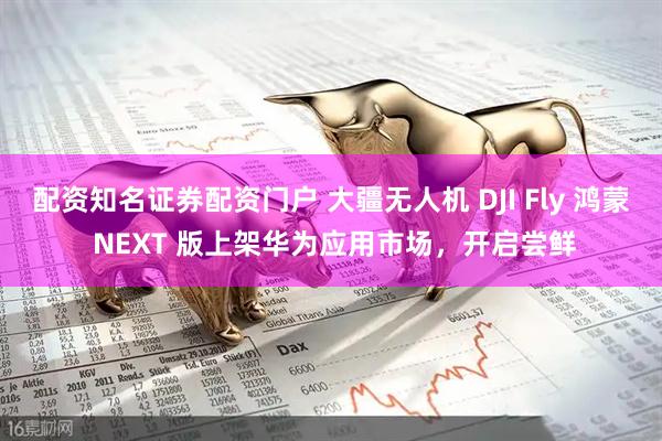 配资知名证券配资门户 大疆无人机 DJI Fly 鸿蒙 NEXT 版上架华为应用市场，开启尝鲜